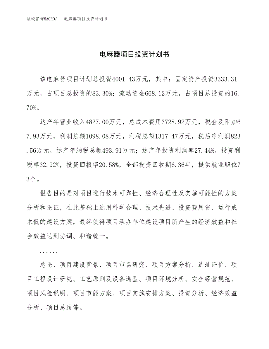 （申请模板）电麻器项目投资计划书_第1页