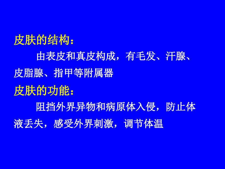 组织学与胚胎学  皮肤_第3页