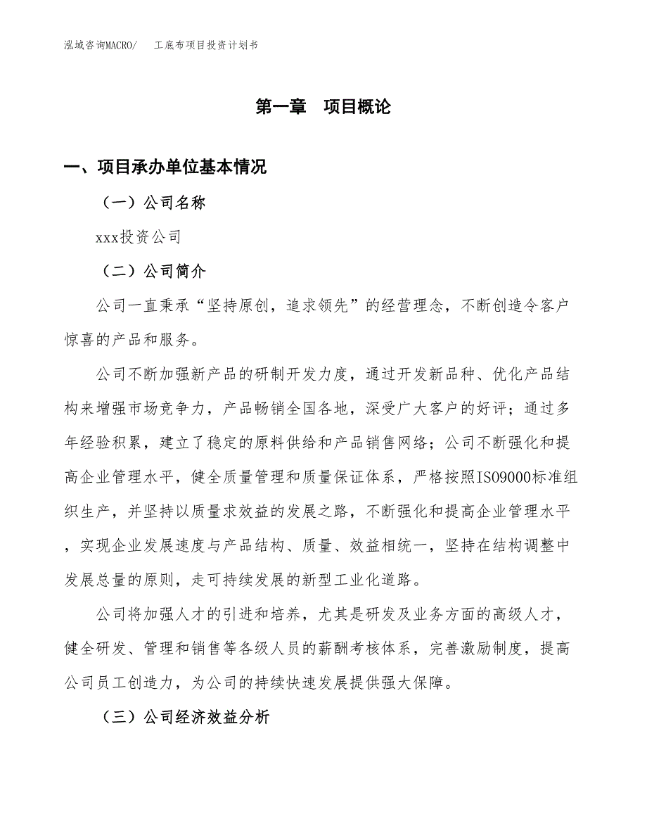 （申请模板）工底布项目投资计划书_第3页