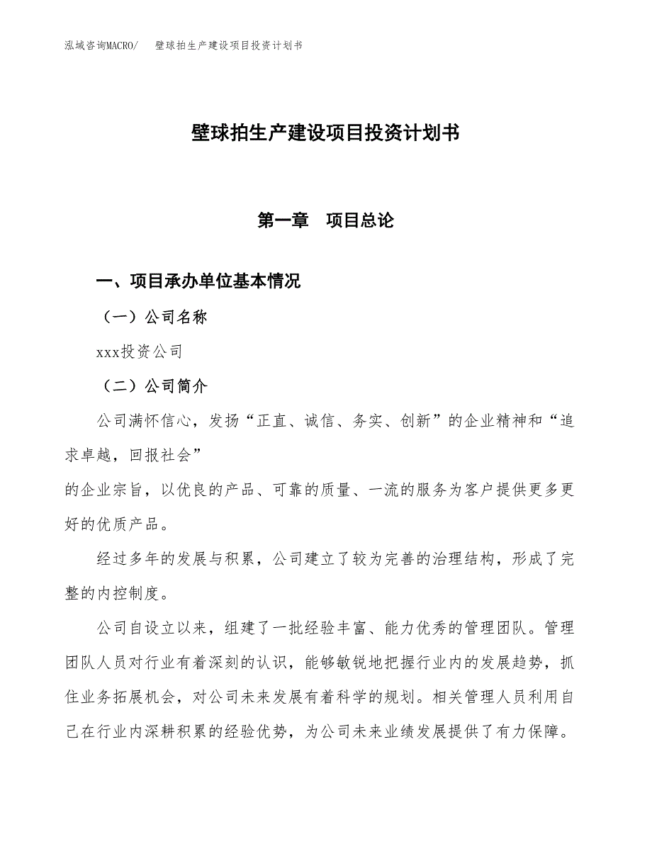 （参考版）壁球拍生产建设项目投资计划书_第1页