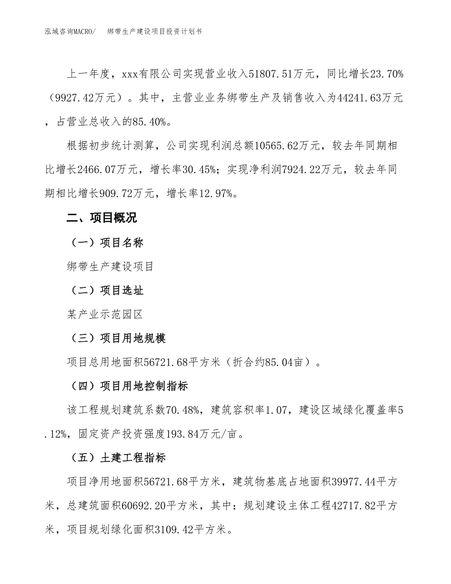 （参考版）绑带生产建设项目投资计划书_第2页