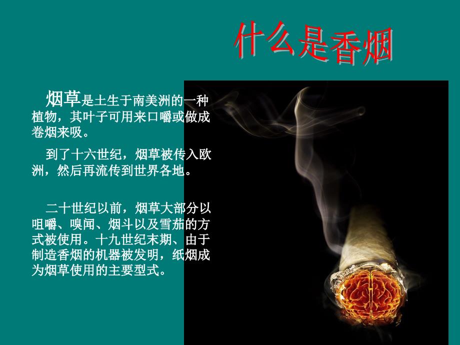 珍爱生命远离烟草 (1) - 副本.ppt_第3页