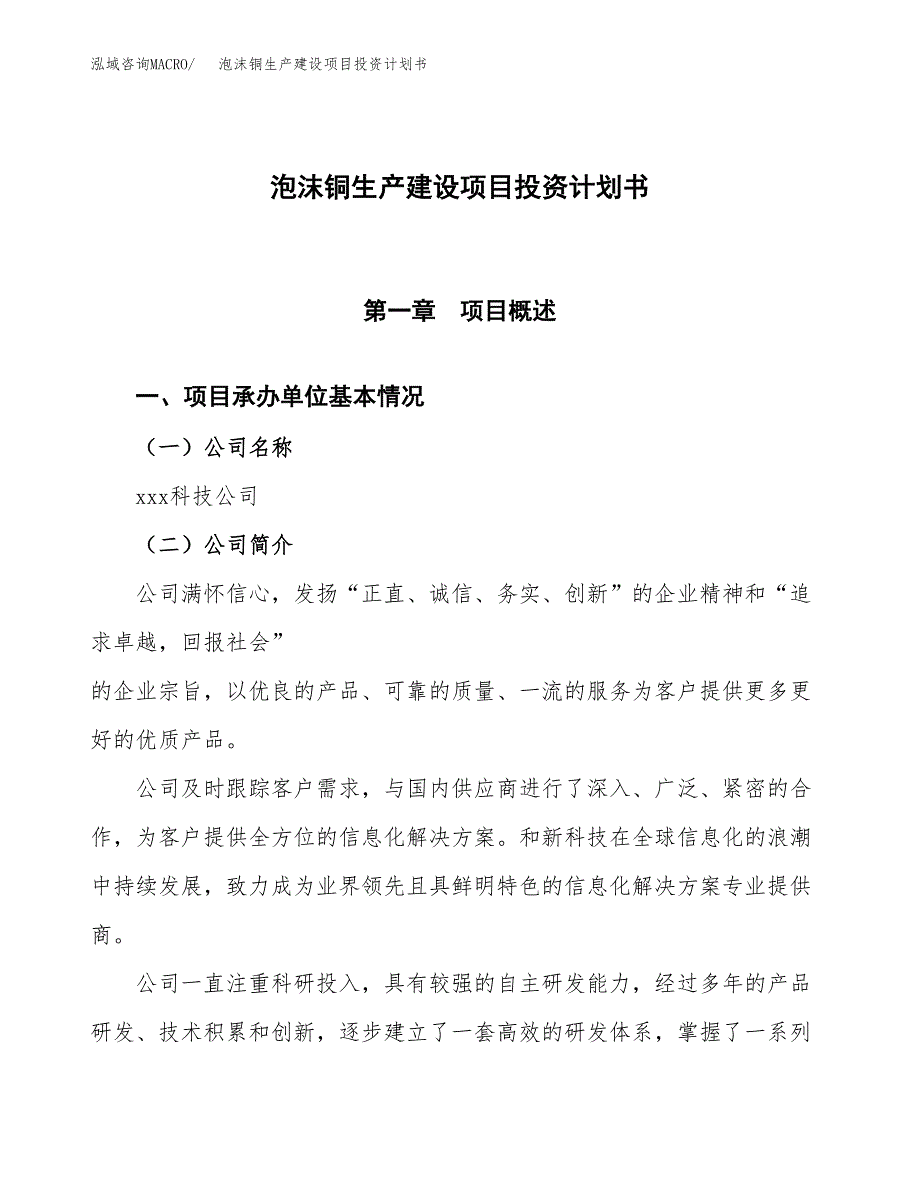 （参考版）泡沫铜生产建设项目投资计划书_第1页