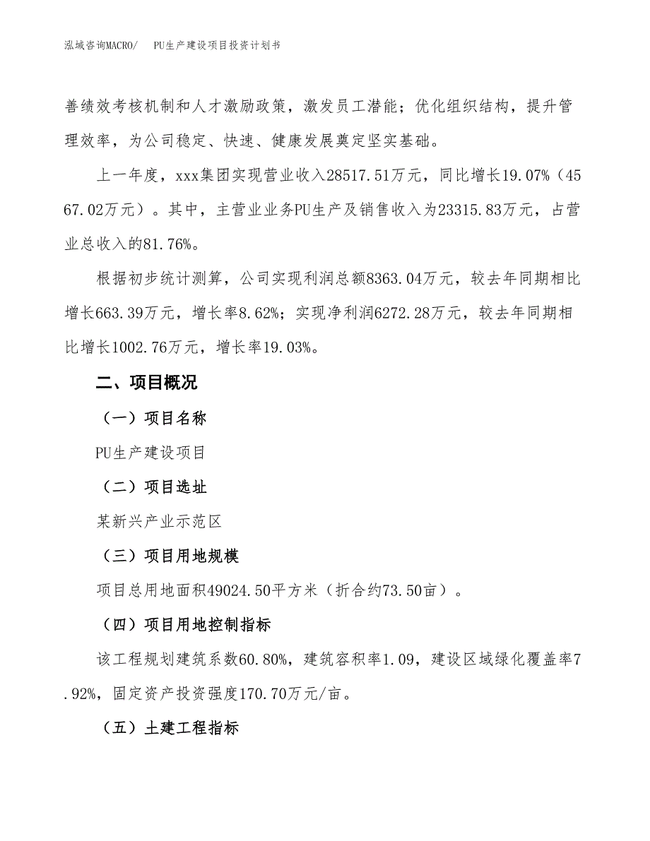 （参考版）PU生产建设项目投资计划书_第2页