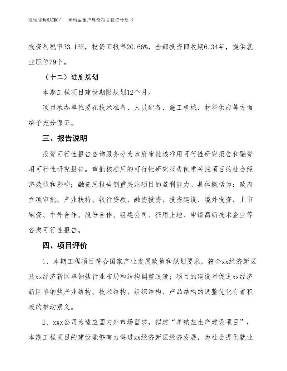 （参考版）单钠盐生产建设项目投资计划书_第4页