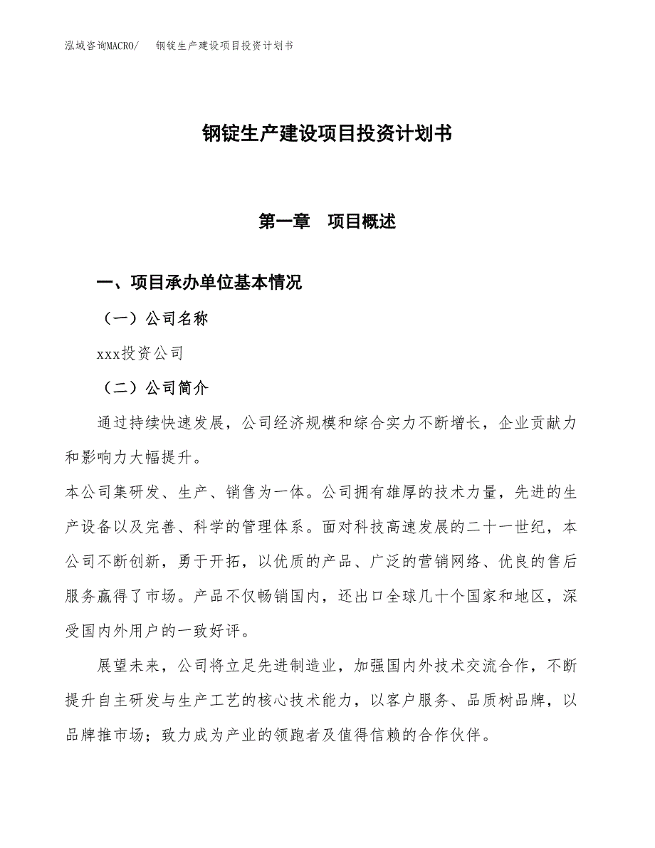 （参考版）钢锭生产建设项目投资计划书_第1页