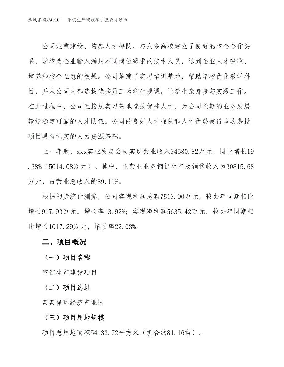 （参考版）钢锭生产建设项目投资计划书_第2页