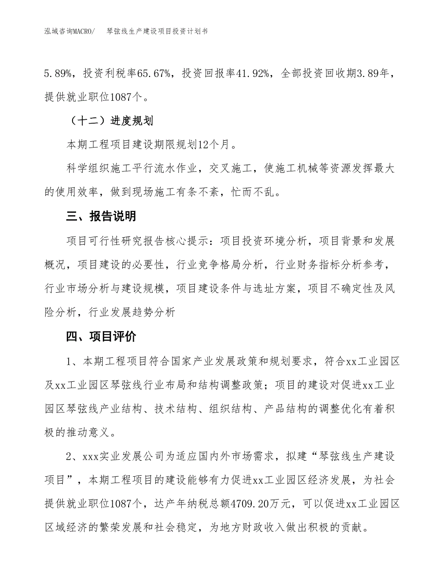 （参考版）琴弦线生产建设项目投资计划书_第4页