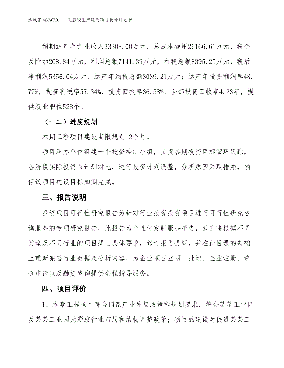 （参考版）无影胶生产建设项目投资计划书_第4页