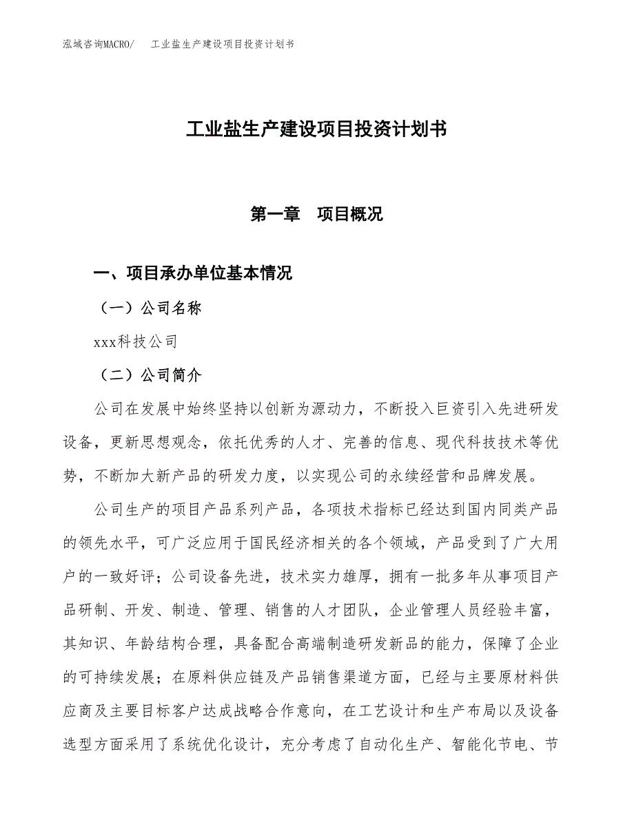 （参考版）工业盐生产建设项目投资计划书_第1页