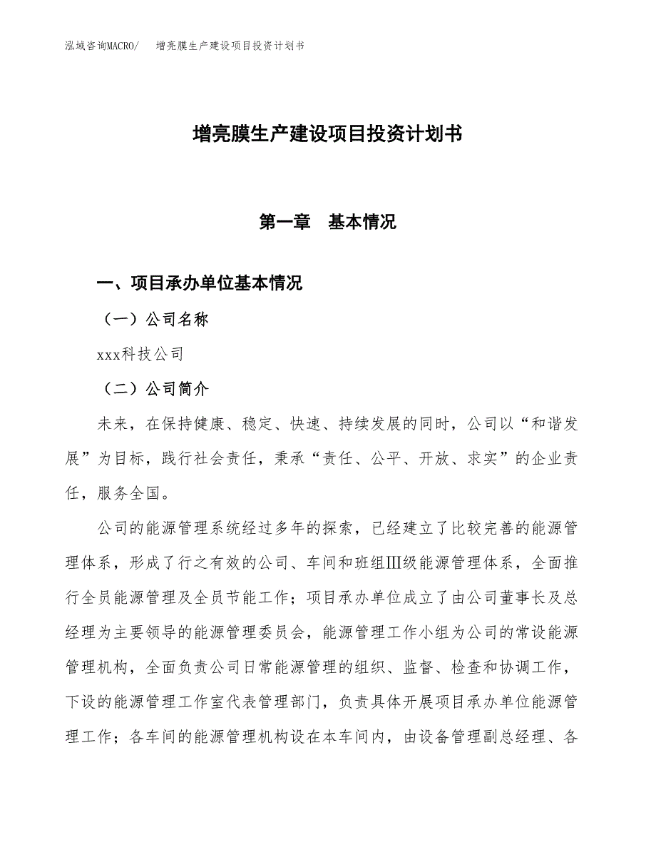 （参考版）增亮膜生产建设项目投资计划书_第1页