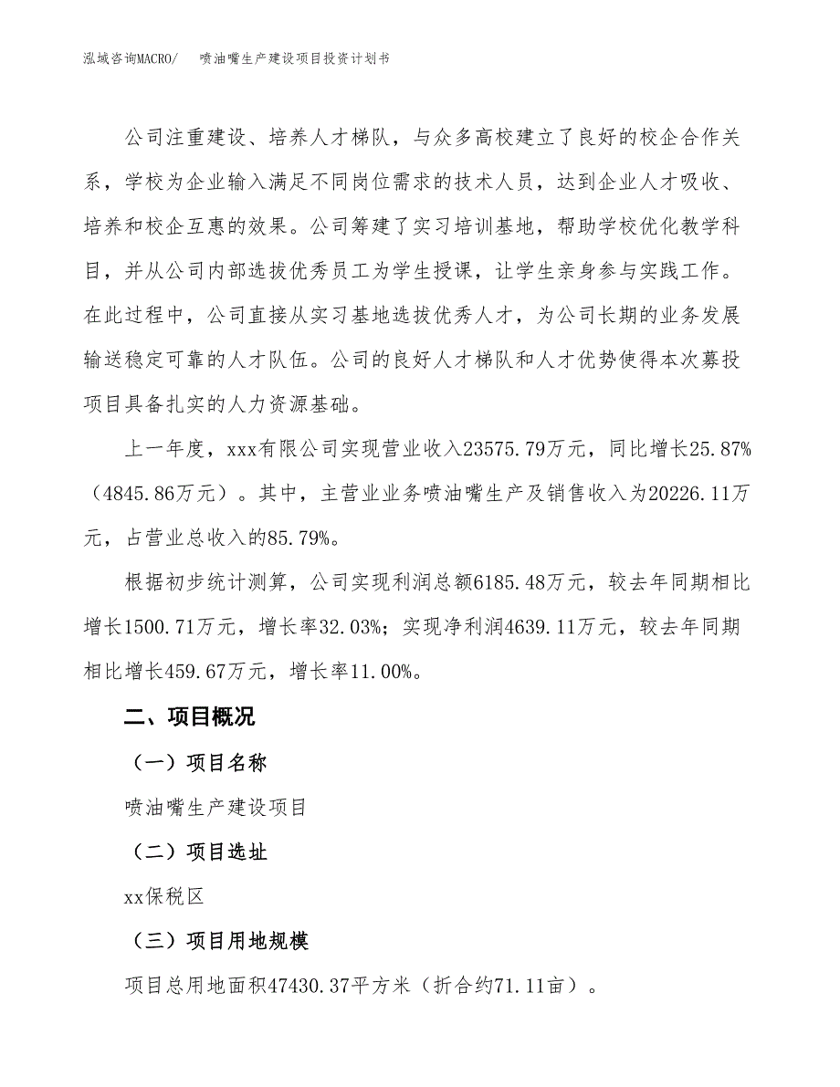 （参考版）喷油嘴生产建设项目投资计划书_第2页