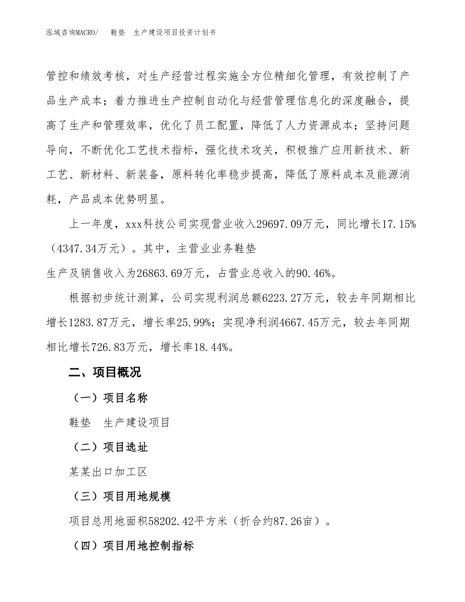 （参考版）鞋垫　生产建设项目投资计划书_第2页