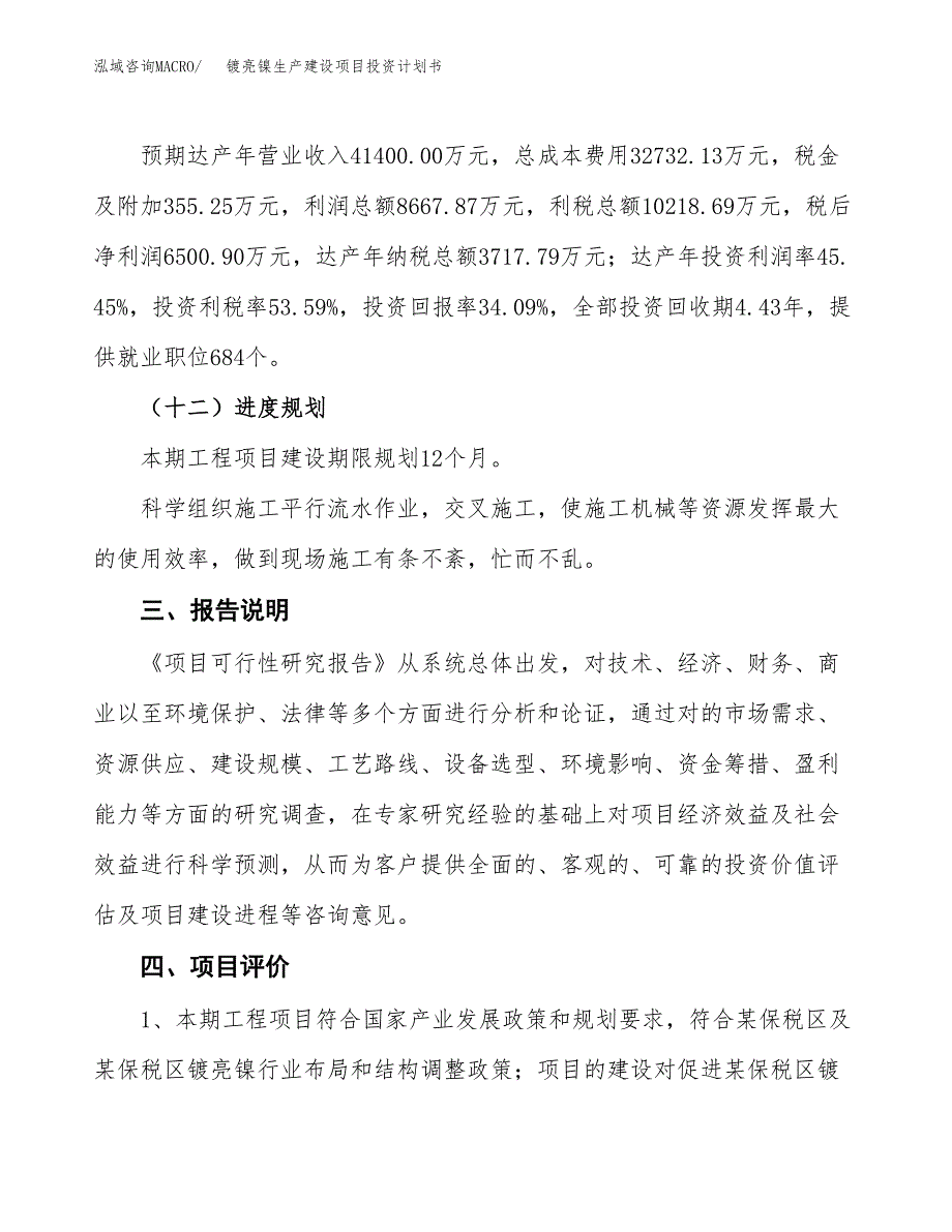 （参考版）镀亮镍生产建设项目投资计划书_第4页