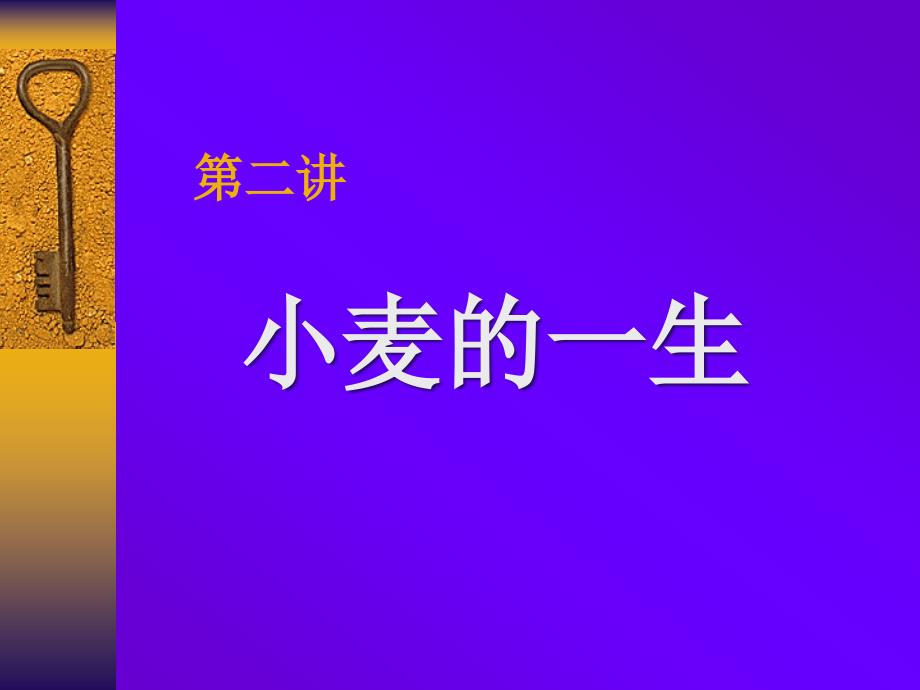 第二讲 小麦的一生_第1页