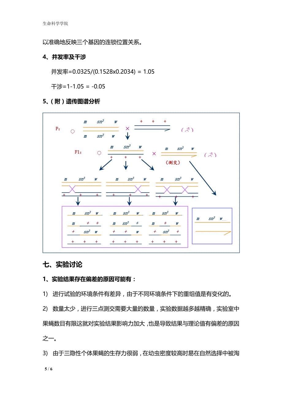 南京大学实验报告-果蝇的三点测交_第5页