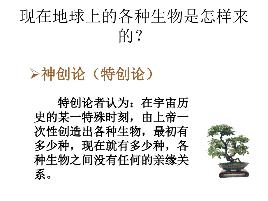 生物进化的证据_.课件幻灯片_第3页