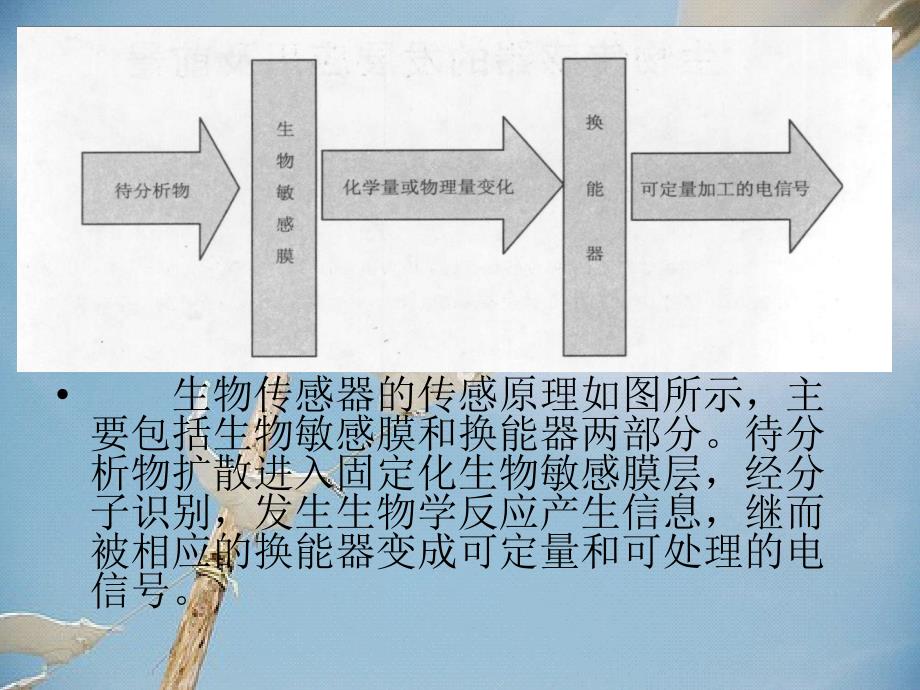 生物传感器及其在食品安全中的应用幻灯片_第3页