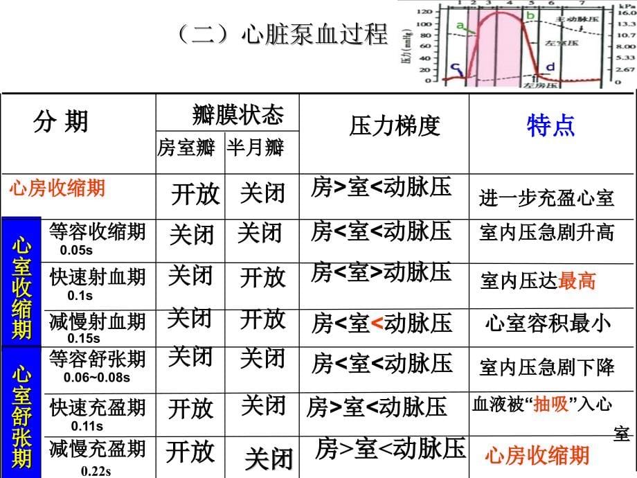 生理学课件_循环人卫第七版本课件幻灯片_第5页