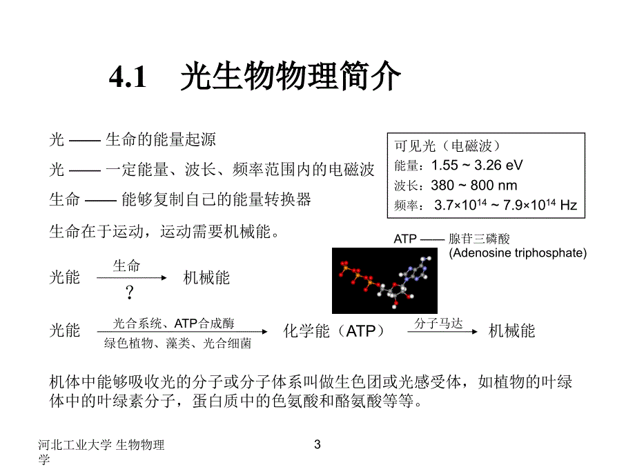 理学类生物物理学幻灯片_第3页