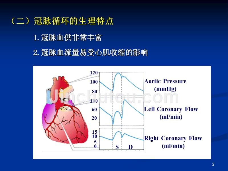 生理013课件幻灯片_第2页