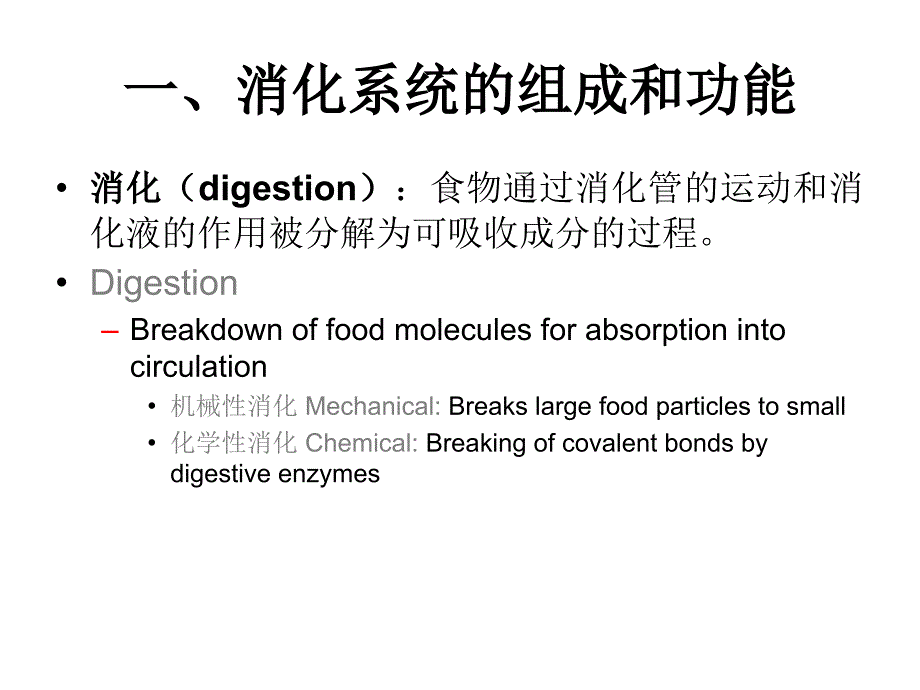 生理学之消化系统幻灯片_第3页