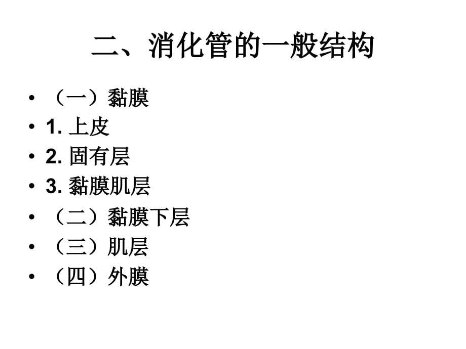 生理学之消化系统幻灯片_第5页