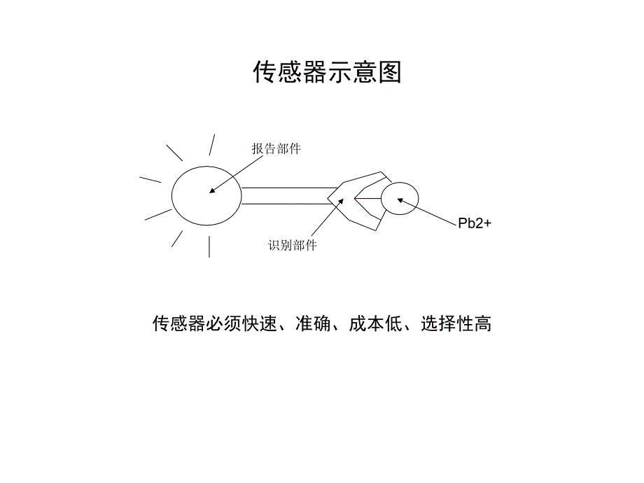 生物荧光技术在铅研究中的应用幻灯片_第2页