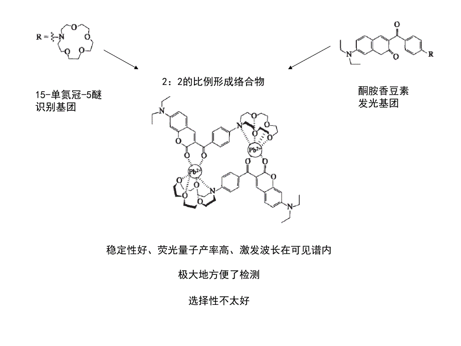 生物荧光技术在铅研究中的应用幻灯片_第4页