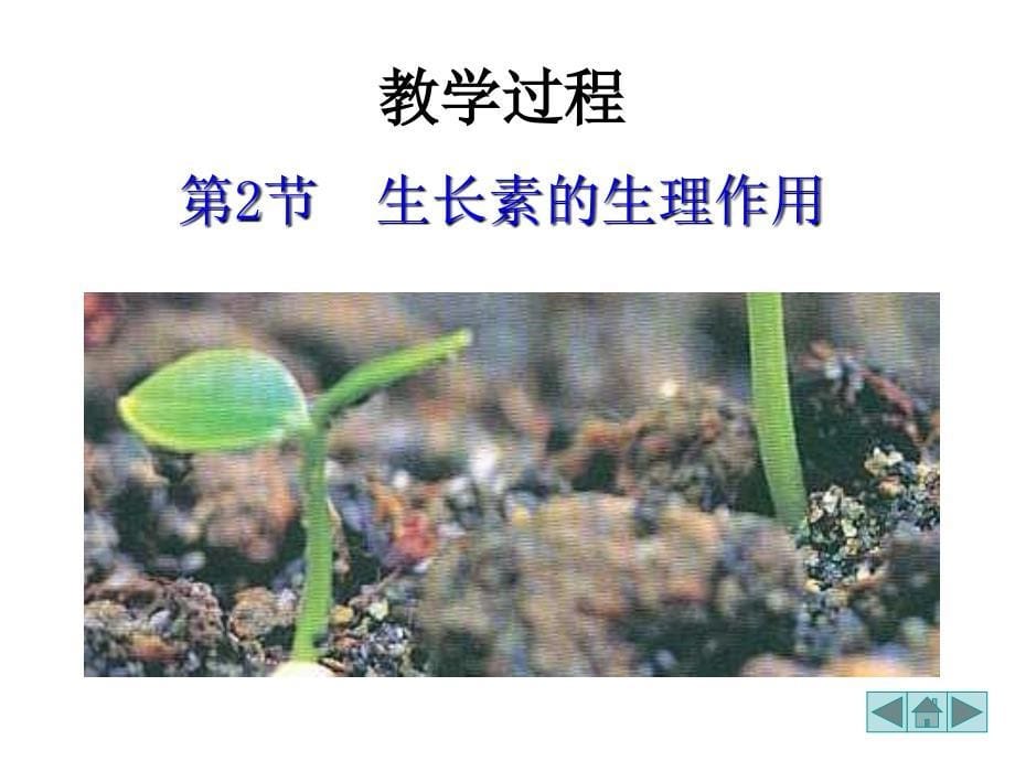 生物：3.2生长素的生理作用课件1新人教版必修3课件幻灯片_第5页