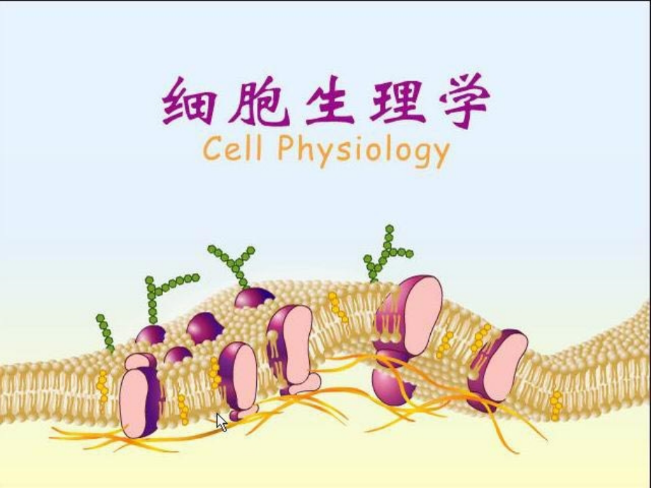 生理学课件细胞生理学幻灯片_第1页