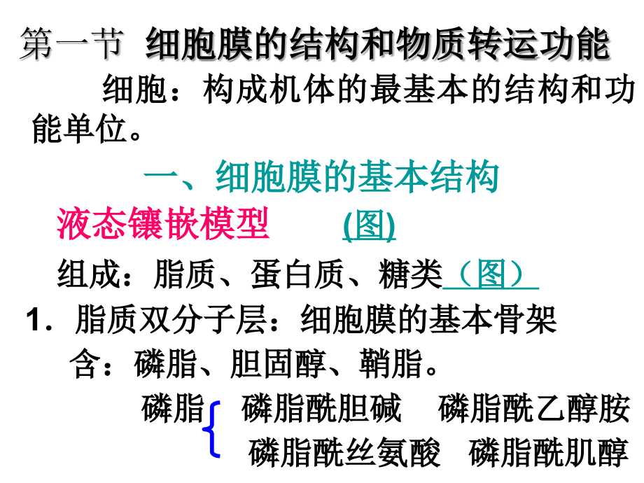 生理学课件细胞生理学幻灯片_第3页