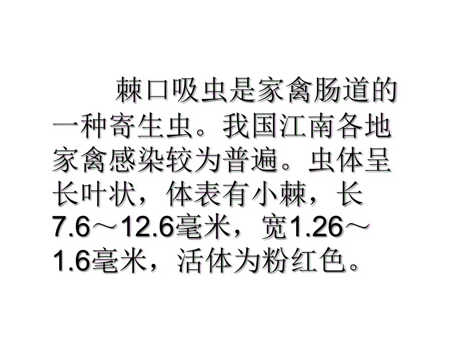 禽病学禽病临床诊断彩色图谱51禽棘口吸虫病西南民族大学课件幻灯片_第2页