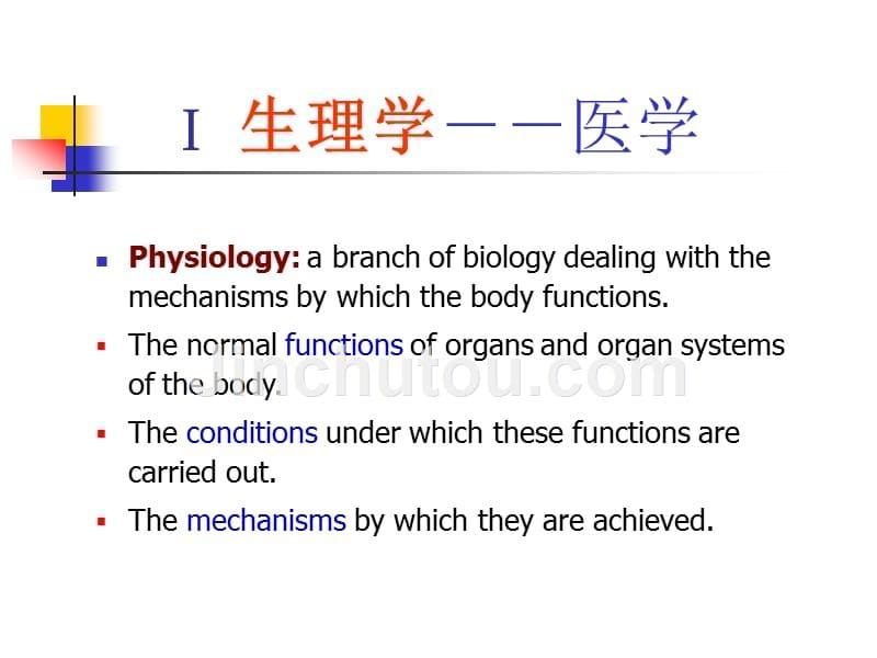 生理学第一张幻灯片_第5页