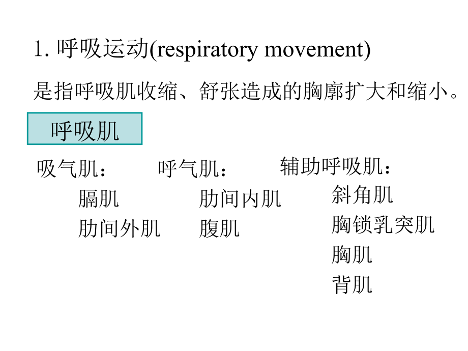 生理学课件呼吸幻灯片_第4页