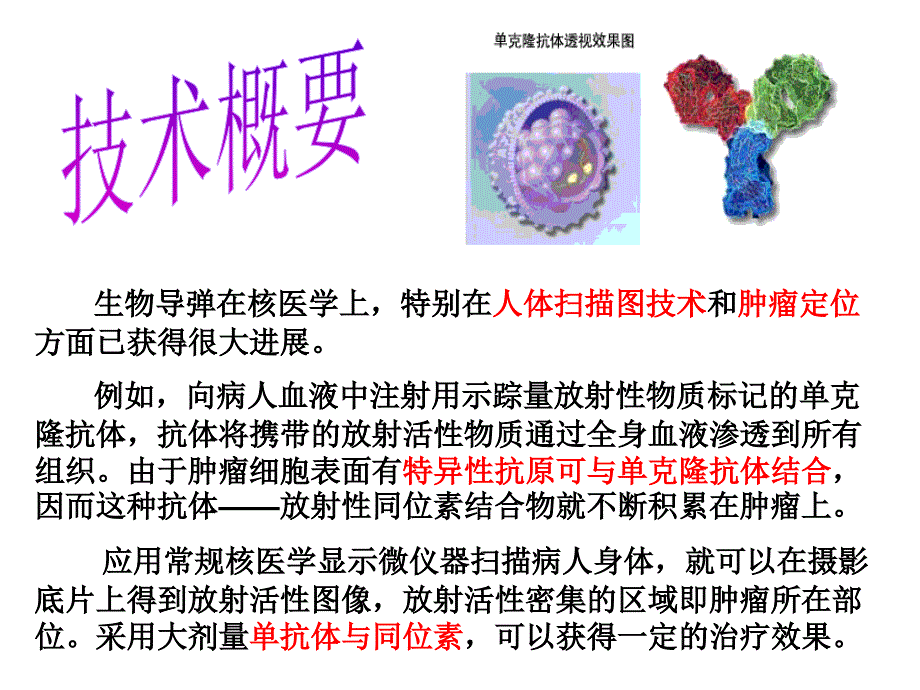 生物技术——生物导弹幻灯片_第3页