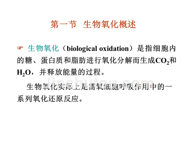 生物化学--第八章节生物氧化和能量转化幻灯片_第2页