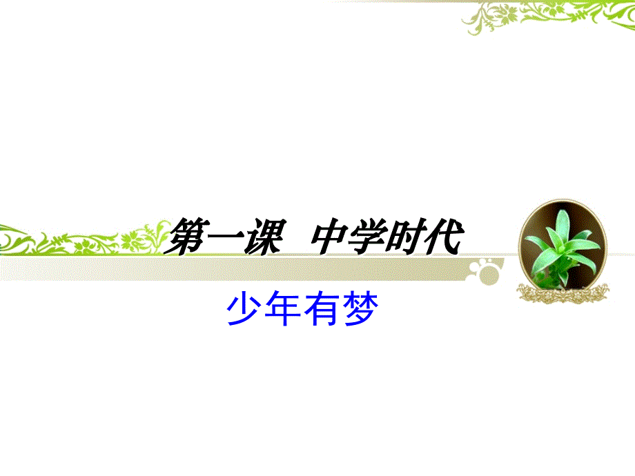 少年有梦 (共18张ppt)_第2页