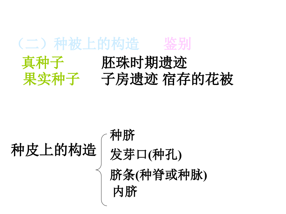 第三章节种子的形态结构和生理特性幻灯片_第4页