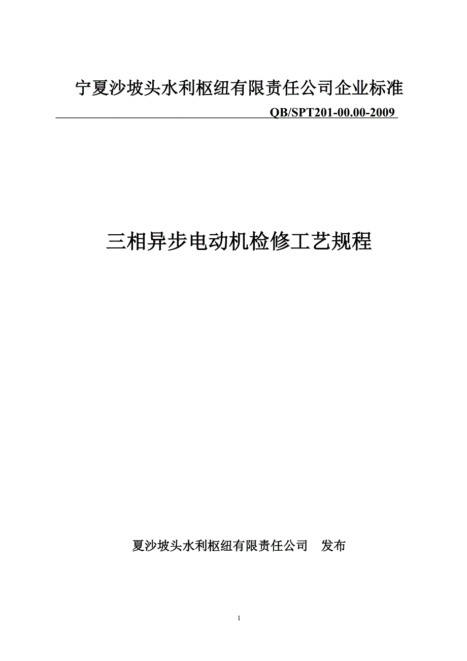 200910电动机检修规程9解析_第1页