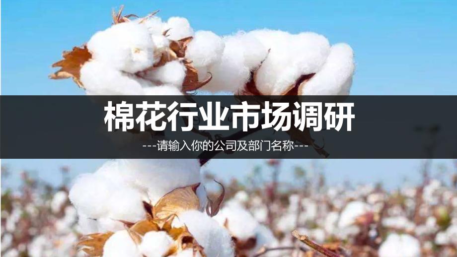 棉花行业现状及前景调研_第1页