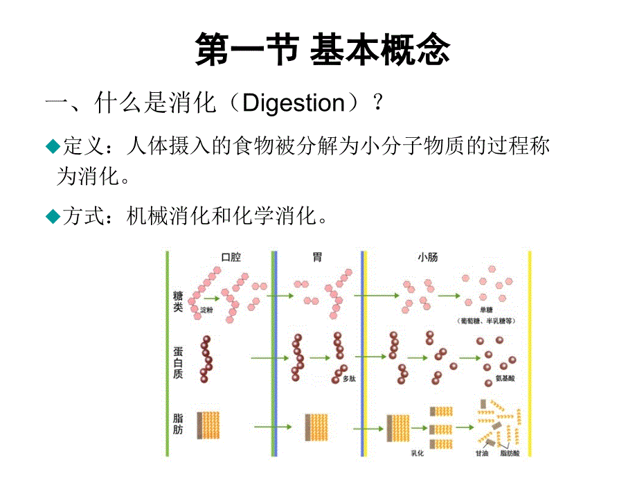 第二章节_消化吸收幻灯片_第2页