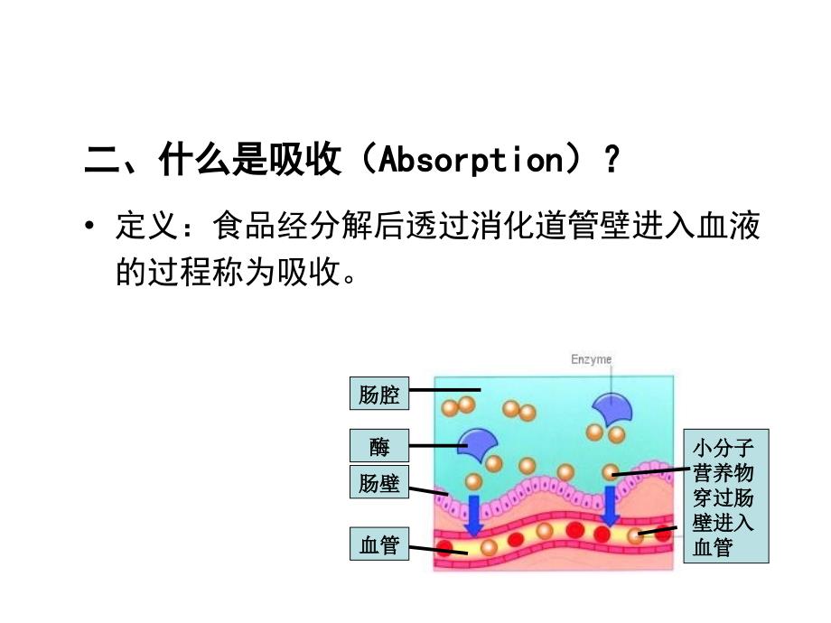 第二章节_消化吸收幻灯片_第3页