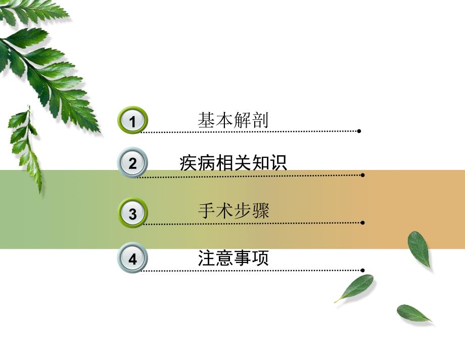 睾丸切除术_第2页