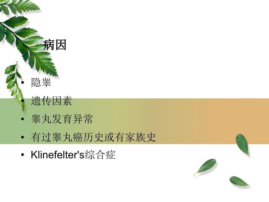 睾丸切除术_第5页