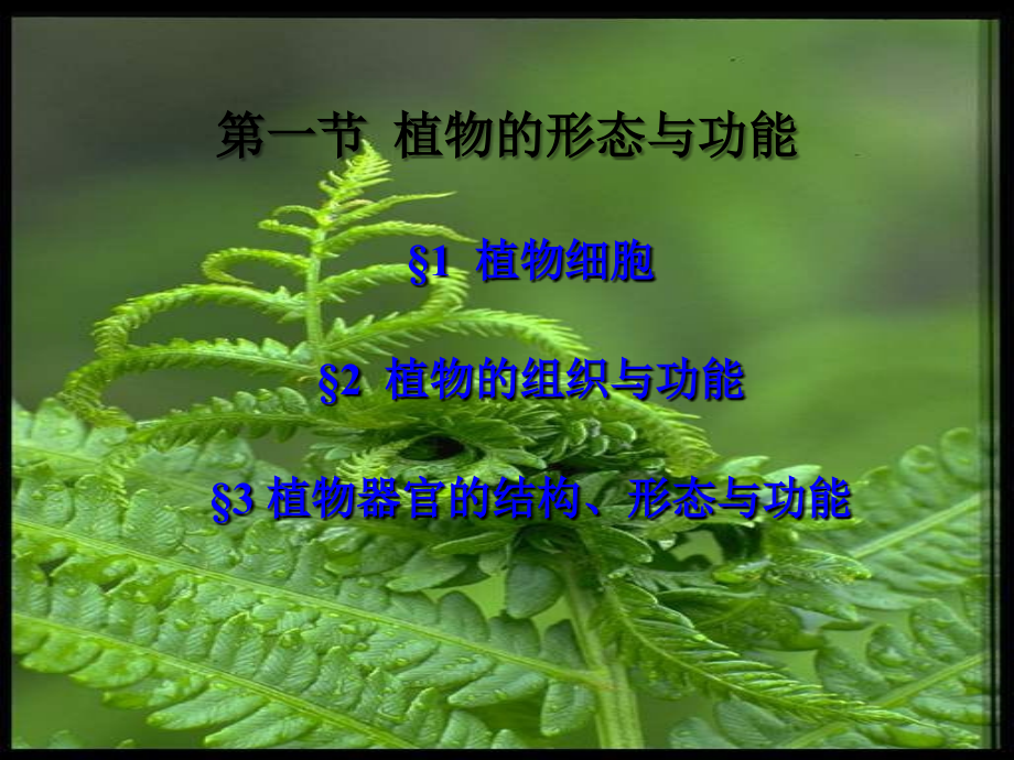 第一章节植物细胞基本知识幻灯片_第3页