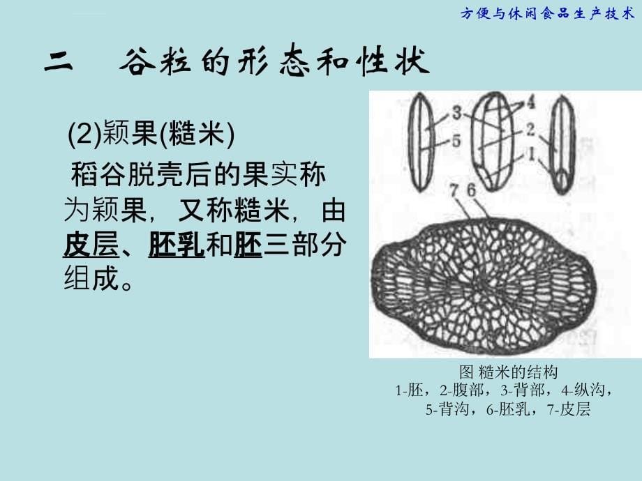 生产管理知识_方便大米制品生产工艺培训课件_第5页