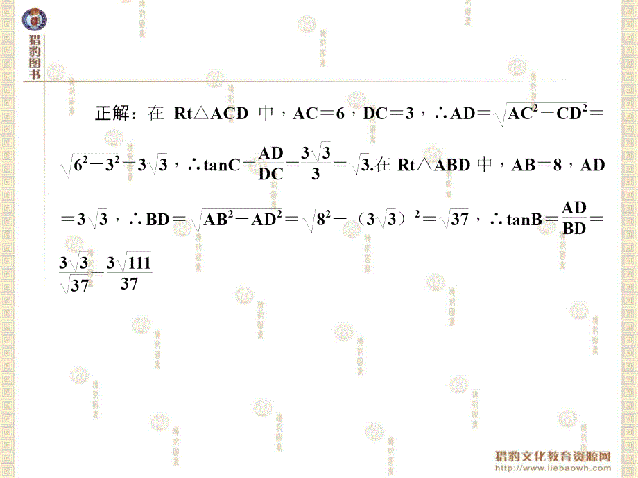 专题易错类易错课堂一直角三角形的边角关系_第3页