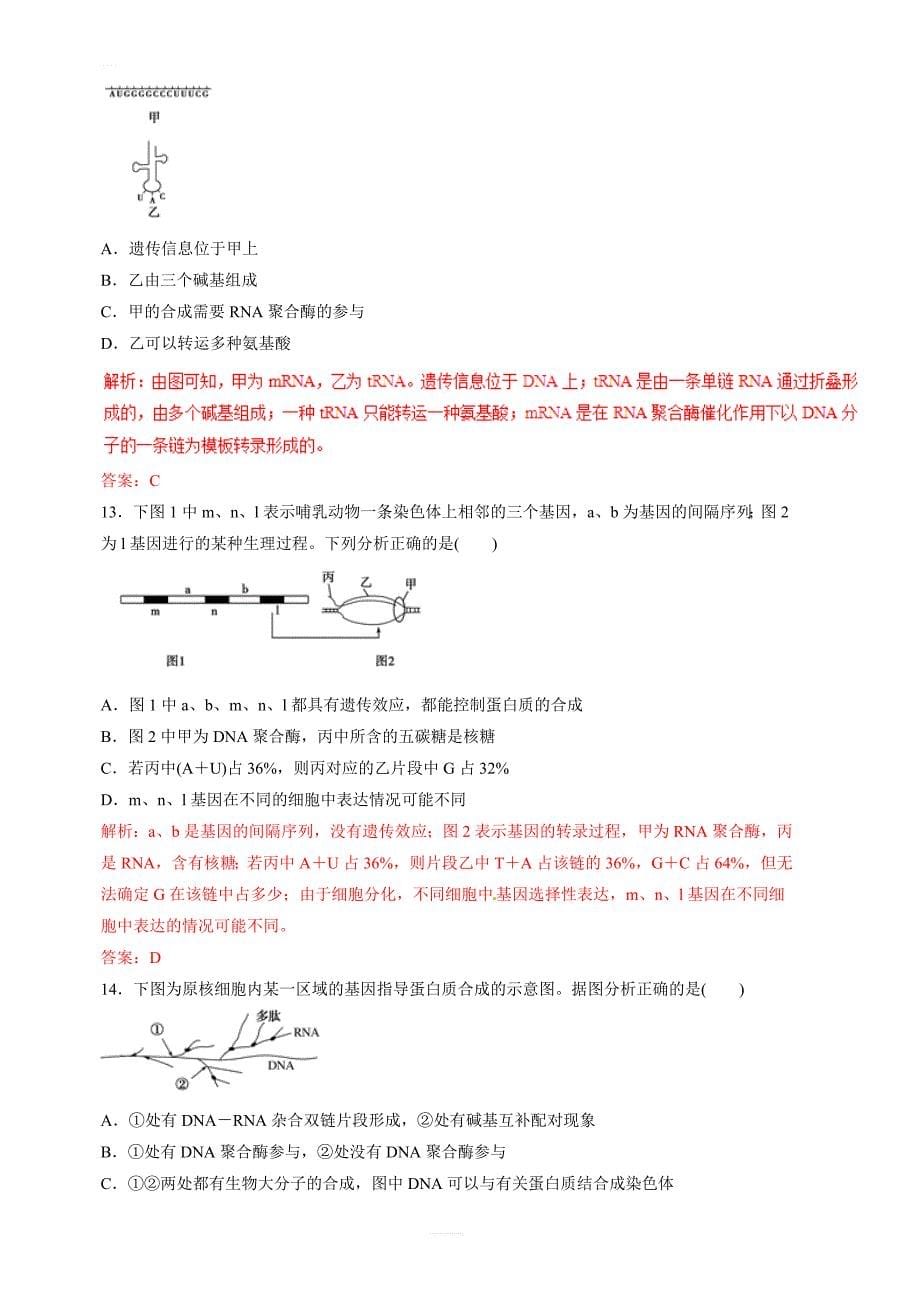 2019年高考生物提分秘籍：专题20-基因的表达(题型专练)含答案解析_第5页