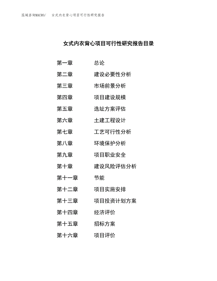 女式内衣背心项目可行性研究报告（总投资12000万元）_第2页